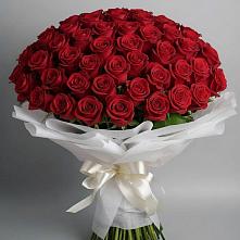 Букет 101 Красная роза Блэк Мэджик в Поселок дачного хозяйства Жуковка