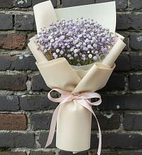 Букет цветов из:  Гипсофила в Поселок дачного хозяйства Жуковка