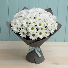 Букет цветов из:  Хризантемы #REPLACE_PRED# Поселок дачного хозяйства Жуковка