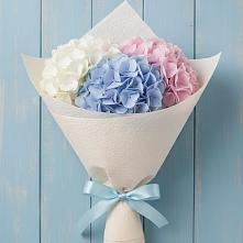 Букет цветов из:  Гортензия в Поселок дачного хозяйства Жуковка