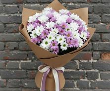 Букет цветов из:  Хризантемы #REPLACE_PRED# Поселок дачного хозяйства Жуковка