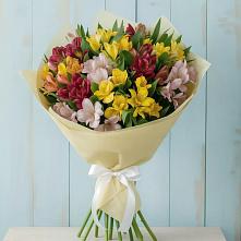 Букет цветов из:  Альстромерии в Поселок дачного хозяйства Жуковка