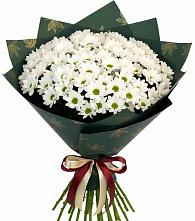 Букет цветов из:  Хризантемы в Поселок дачного хозяйства Жуковка