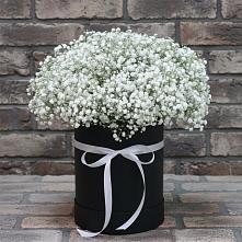 Цветочная композиция из Гипсофила в шляпной коробке #REPLACE_PRED# Поселок дачного хозяйства Жуковка